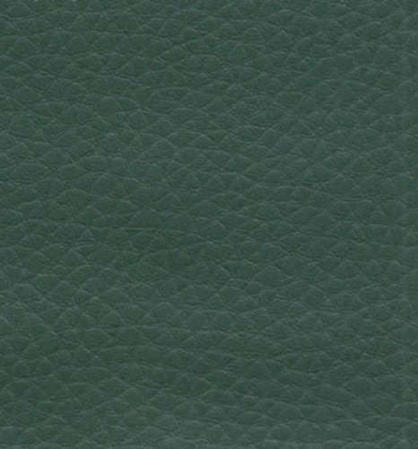 Skaj Dolaro D18 zielony